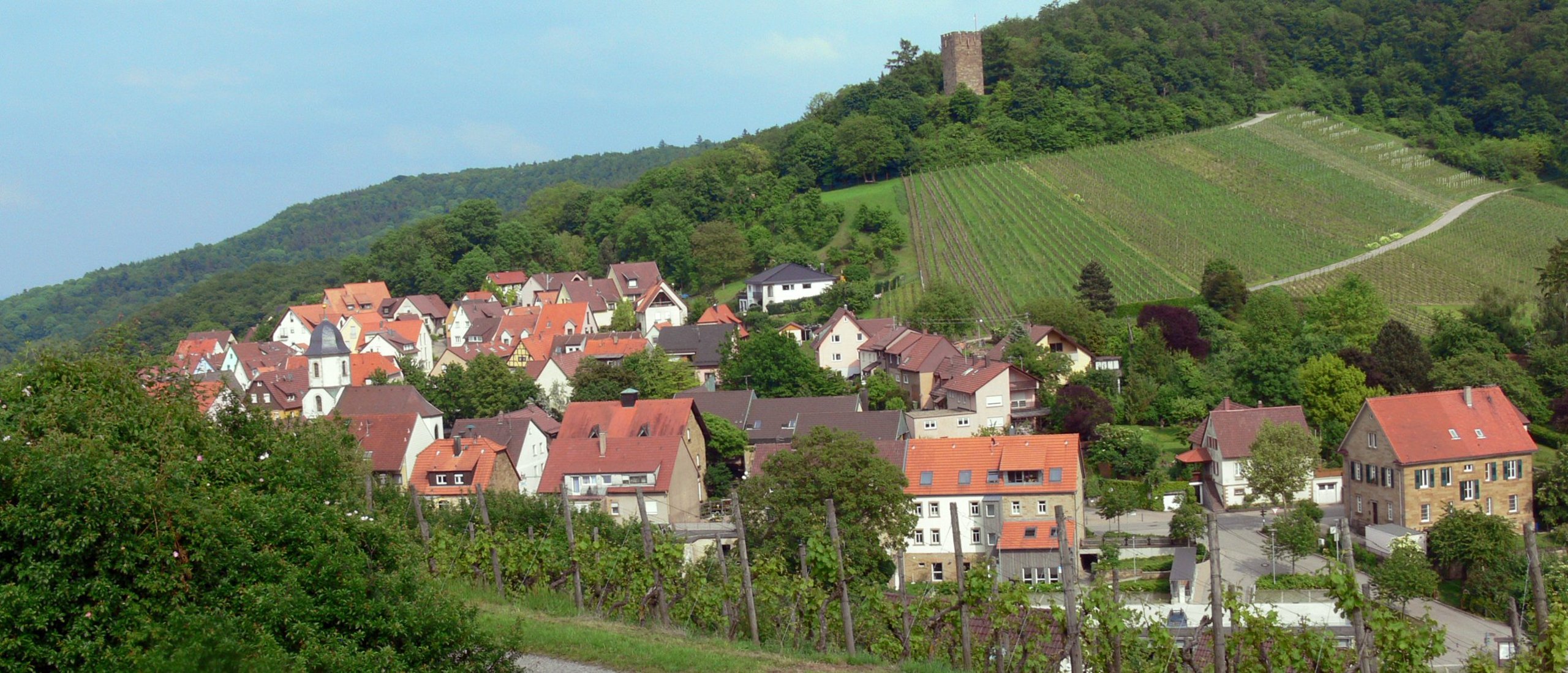 Wohngebiet und Weinberge